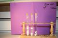 gal/LES_CINQUIEMES/ACTIVITE DIGESTION IN VITRO/Groupe_05/Groupe05_T_00h20min/_thb_Groupe05_T_00h_20min_16.JPG
